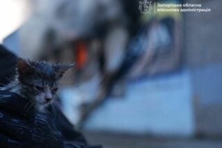 Ночная атака дронами по Запорожью: ранены двое полицейских